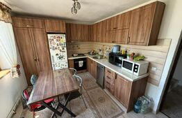 Casa P+M, 123 mp utili, 481 mp teren, zona Damila