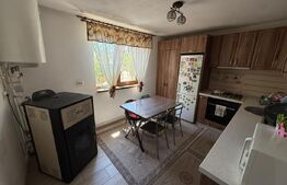 Casa P+M, 123 mp utili, 481 mp teren, zona Damila