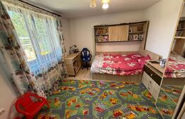 Casa P+M, 123 mp utili, 481 mp teren, zona Damila