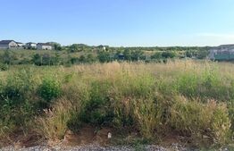 Teren de vânzare – 498 mp, zonă Damila – Căpșunărie