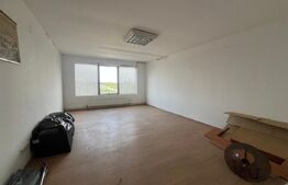 Spațiu comercial 564 mp + hală 274 mp | Teren 1.839 mp | zona Aeroport