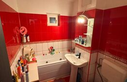 Apartament  2 camere, 49 mp, Lapus, Electroputere Mall