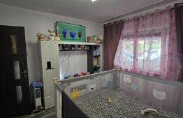 Apartament  2 camere, 49 mp, Lapus, Electroputere Mall