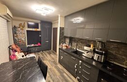 Apartament  2 camere, 49 mp, Lapus, Electroputere Mall