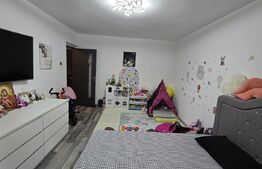 Apartament  2 camere, 49 mp, Lapus, Electroputere Mall