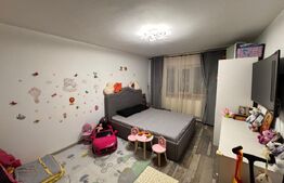 Apartament  2 camere, 49 mp, Lapus, Electroputere Mall