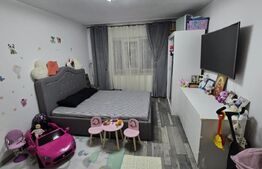 Apartament  2 camere, 49 mp, Lapus, Electroputere Mall
