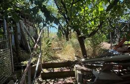 Casa P+1, 80 mp utili, zona Pielesti