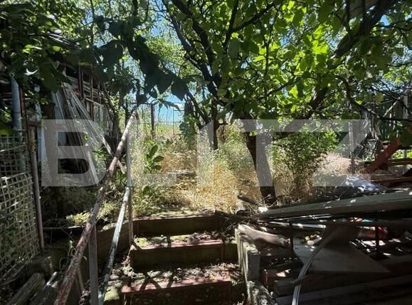 Casa de vânzare 3 camere Pielești - 198265CV | BLITZ Craiova | Poza7