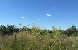Teren intravilan arabil, 1635 mp, zona Pielești