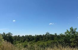 Teren intravilan arabil, 1635 mp, zona Pielești