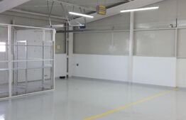 Hala 800 mp, acces TIR, zona FORD