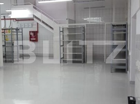 Spațiu industrial de închiriat Carcea  - 198302SII | BLITZ Craiova | Poza5