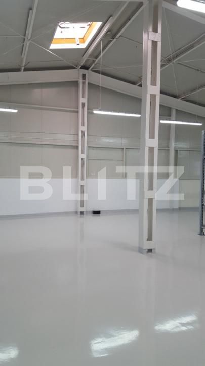 Spațiu industrial de închiriat Carcea  - 198302SII | BLITZ Craiova | Poza10