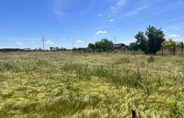 Teren 911 mp, deschidere 30 m, Flux Arena