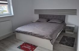 Apartament de inchiriat, 2 camere, 53 mp, loc de parcare, Romanescu Residence