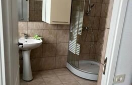 Showroom mobila cu expunere maxima la DN87, Galicea Mare, teren 1.900 mp