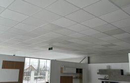 Showroom mobila cu expunere maxima la DN87, Galicea Mare, teren 1.900 mp