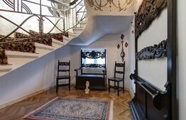 Spatiu comercial, mp, terasa exterioara, teren 650 mp, zona Centrala