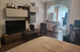 Garsonieră de vânzare, 31 mp, aer condiționat, etaj 1, zona Brazda lui Novac