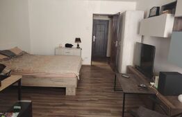 Garsonieră de vânzare, 31 mp, aer condiționat, etaj 1, zona Brazda lui Novac
