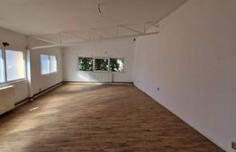 Constructie structura usoara, P+1, 310 mp, teren 533 mp, Bariera Valcii