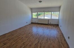 Constructie structura usoara, P+1, 310 mp, teren 533 mp, Bariera Valcii