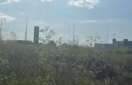 Teren intravilan, 5000 mp, iesirea din Filiasi 