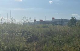 Teren intravilan, 5000 mp, iesirea din Filiasi 