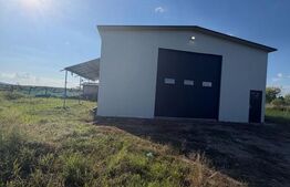 Spațiu comercial de închiriat Cornitoiu - 203731SIC | BLITZ Craiova | Poza4