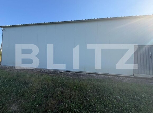 Spațiu comercial de închiriat Filiaşi - 198649SIC | BLITZ Craiova | Poza3