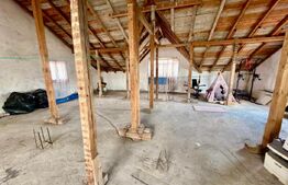 Casă spațioasă P+1 cu demisol, 230 mp, garaj si teren 626 mp – Brestei