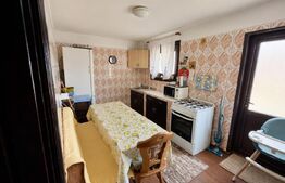 Casă spațioasă P+1 cu demisol, 230 mp, garaj si teren 626 mp – Brestei