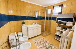 Casă spațioasă P+1 cu demisol, 230 mp, garaj si teren 626 mp – Brestei