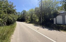 Teren intravilan 4.542 mp la principală, front 37 m, Leamna de Jos