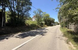 Teren intravilan 4.542 mp la principală, front 37 m, Leamna de Jos