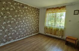Casă 80 mp, teren 905 mp, dublă deschidere, zona Pielesti