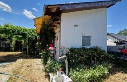 Casă 80 mp, teren 905 mp, dublă deschidere, zona Pielesti