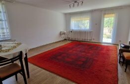 Casă 80 mp, teren 905 mp, dublă deschidere, zona Pielesti