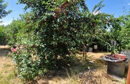Casă 80 mp, teren 905 mp, dublă deschidere, zona Pielesti