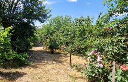Casă 80 mp, teren 905 mp, dublă deschidere, zona Pielesti