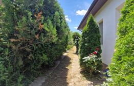 Casă 80 mp, teren 905 mp, dublă deschidere, zona Pielesti
