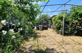 Casă 80 mp, teren 905 mp, dublă deschidere, zona Pielesti