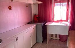 Apartament 2 camere, zona Elena Farago, Cartier Craiovita 