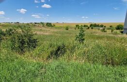 Teren intravilan, 1300 mp, front 24 ml, DN Craiova-Bucuresti