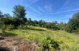 Casa de vanzare, 72 mp, 1500 mp teren, zona Baleasa 