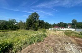 Casa de vanzare, 72 mp, 1500 mp teren, zona Baleasa 