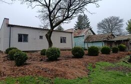 Casa parter, 90 mp, la rosu, zona Cosoveni 