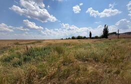 Teren 9.976 mp cu proiect aprobat parc fotovoltaic 1,4 MW, Bucovăț