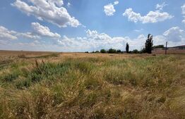 Teren 9.976 mp cu proiect aprobat parc fotovoltaic 1,4 MW, Bucovăț